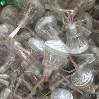 Ampoule LED d'extérieur 60 mm 360° Vue panoramique Cabochon RVB 24V pour amusement
