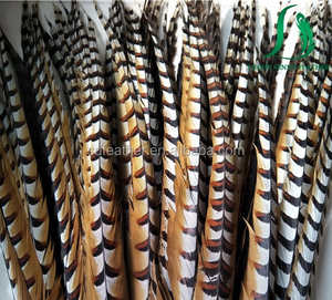 Proveedores de China de gran tamaño natural reeves <span class=keywords><strong>faisán</strong></span> plumas de cola para los trajes de carnaval - Product Image 3
