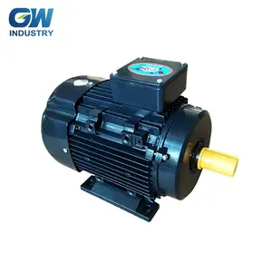 IEC Aluminum Premium 12 Volt 3 Phase Pussy Pump Electric Motor