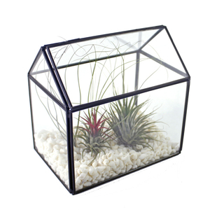 Handgemachtes Polieren klare einzigartige Glas vasen Glaster rarium mit Deckel - Product Image 3