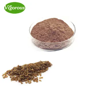 Estratto di grano saraceno campione gratuito estratto di semi di grano saraceno tartaro biologico