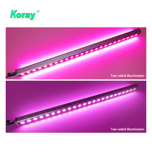 Barra de Cultivo LED de Doble Cara de 60w 120w 200w 180w 240w 300w, Iluminación Interior para Cultivo, Utilizada en Cultivo de Tomates en Holanda - Product Image 3