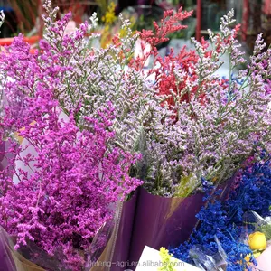 แห้งธรรมชาติLimonium StaticesinuateLดอกไม้ในราคาขายส่ง