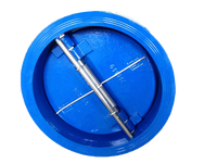 Clapet anti-retour papillon à double plaque DN100 PN16 DH77X avec corps en fonte ductile, tige de disque en SUS 304, ressort et siège en EPDM, taille 4 pouces
