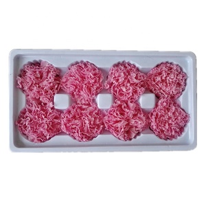 Crisantemos Preservados de 4-5 cm, Más de 20 Colores para el Día de la Madre, San Valentín, Graduación, Navidad, Año Nuevo - Product Image 4