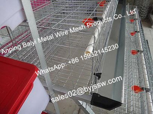 capa de jaula de pollo para <span class=keywords><strong>la</strong></span> granja de aves de corral - Product Image 5