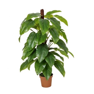 Plantes <span class=keywords><strong>d</strong></span>'<span class=keywords><strong>intérieur</strong></span> artificielles à <span class=keywords><strong>grande</strong></span> feuille, 1 pièce, fausses fleurs de bonsaï tropical en plastique, vente <span class=keywords><strong>d</strong></span>'arbre - Product Image 3