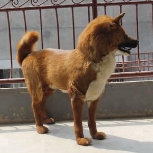 OEM mevcut yaşam boyutu gerçekçi köpek manken için satış - Product Image 4