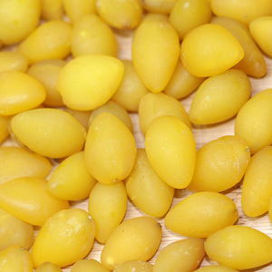 Ghidbai Guo — noix séchées de qualité, vente en gros, 10 pièces - Product Image 3