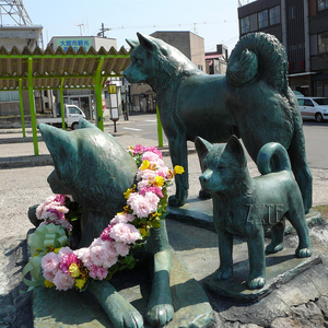 Decoración del jardín de bronce de metal de latón perro <span class=keywords><strong>akita</strong></span> estatua - Product Image 5