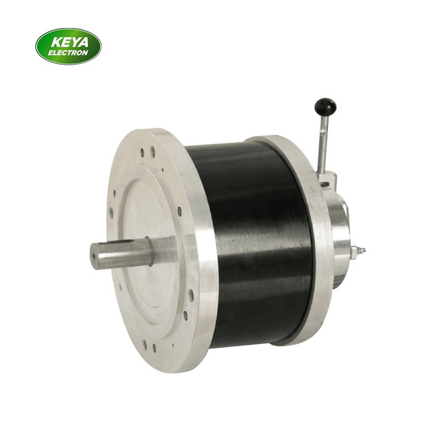 High Torque 48v Bldc 5kw Motor with Hall Sensor Brake for Electric Track Vehicle
