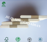 Cuillère à glace en bois de bouleau de 93 mm avec logo personnalisé, flexible, écologique, jetable et portable