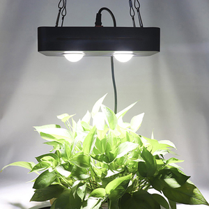 Rapide Croissance Profession D'agriculture Hydroponique LED Élèvent La Lumière - Product Image 4