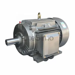 YE4 380v 2IE 3000rpm Ip55 Ie4 padrão alta eficiência Rolling Machine Motor elétrico preço