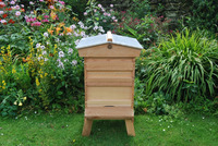 Ruche nationale abeille avec sol en maille ouverte, prix d'usine,