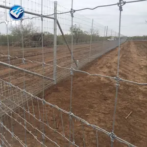 china manufacturer nylon coated pig fence / Cattle fence / grassland fence