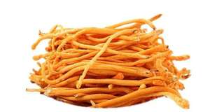 Bitkisel özü fabrika kaynağı organik cordyceps <span class=keywords><strong>mycelium</strong></span> Cordyceps Sinensis özleri - Product Image 2