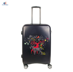 skybags trolly