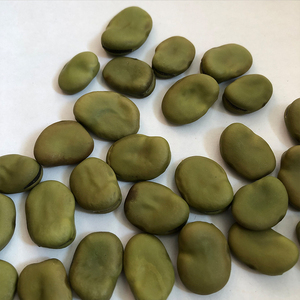 Granos de Color verde, granos de Fava 70-80, origen chino, 2020 - Product Image 5
