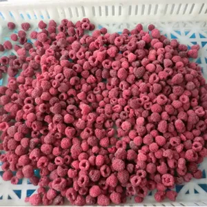 Fruits de raspberry glacée, livraison en chine, meilleur prix, iqf