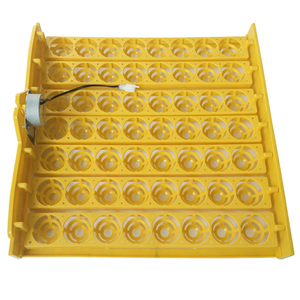 Écharpe automatique de poulet, support <span class=keywords><strong>56</strong></span> œufs, vente - Product Image 4