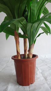 por mayor decoración del hogar árbol <span class=keywords><strong>bonsai</strong></span> artificial plástico plantas artificiales <span class=keywords><strong>bonsai</strong></span> hecho a mano artificial <span class=keywords><strong>bonsai</strong></span> - Product Image 6