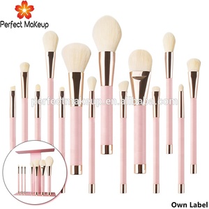 DailyQueen 14-Piece pembe manyetik makyaj fırçası Set kapatıcı uygulama için kurutma raf raf ile kişiselleştirilmiş kozmetik aracı
