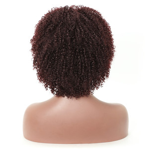 <span class=keywords><strong>2021</strong></span> Noël Afro Perruque Courte Grossier Crépus Bouclés Jerry Cheveux Style Populaire Perruque Synthétique pour les Femmes Noires - Product Image 6