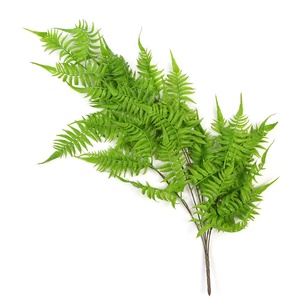<span class=keywords><strong>Ramas</strong></span> Decorativas <span class=keywords><strong>de</strong></span> <span class=keywords><strong>Sauce</strong></span> Llorón Verde <span class=keywords><strong>de</strong></span> Plástico Simulado Sunwing <span class=keywords><strong>de</strong></span> 80 cm, al por Mayor, <span class=keywords><strong>de</strong></span> Jiangsu - Product Image 6
