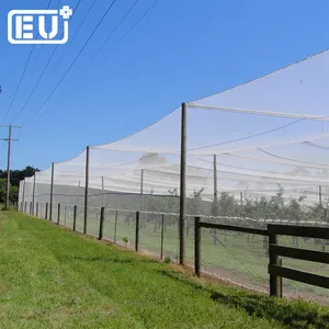 Redes de aves para a captura de aves, barato pássaro compensação, redes de neblina pássaro