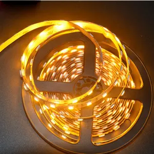 2400k 2500k gold warm white led strip light yellow color 5050 12v led strip flexible 300leds/5m