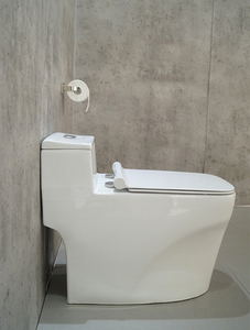 Novo Vaso Sanitário Comfort Height S-trap Durastyle em Uma Peça - Product Image 5