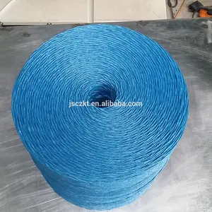 Chất Lượng Tốt Nhà Kính Pp Cà Chua Twine Pp Nhựa Vườn Đóng Gói Sợi Raffia Chuỗi