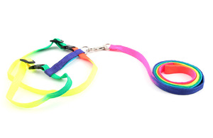 Kalung Anjing 7 Warna <span class=keywords><strong>Pp</strong></span> Sampel Gratis untuk Anjing dan Kucing Aksesori <span class=keywords><strong>Harness</strong></span> dengan Tali Kekang Kucing Peliharaan - Product Image 4