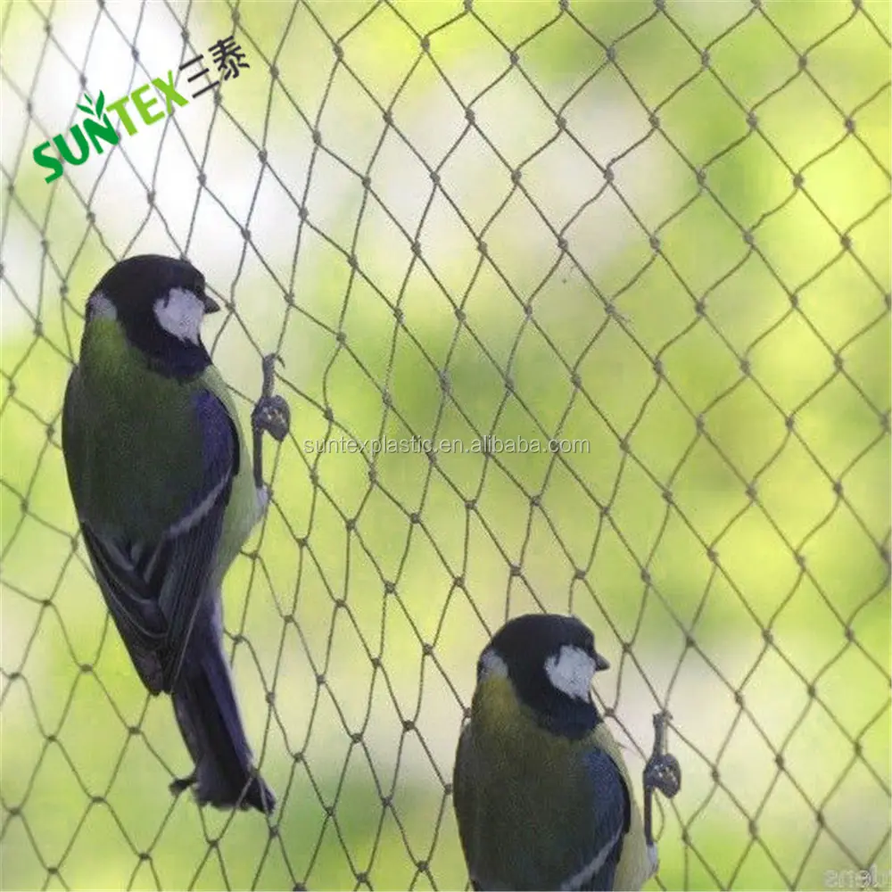 Giá rẻ chống bird lưới/lưới anti-chim lưới bảo vệ/chống động vật lưới