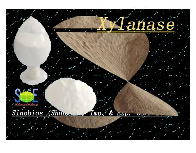 Xylanase Enzyme XY150PAP xylanase paper making xylanase paper production