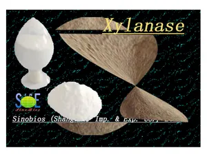 Xylanase-Enzym XY150PAP Xylanase-Papier zur Herstellung von Xylanase-Papier