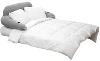 Matelas Gonflable Convertible et Canapé-Lit Gonflable Queen Size
