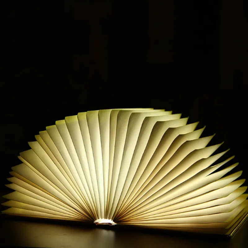 NEW China Factory LED Book Lamp colorful chargeable book light 3W USB charger led fold book light