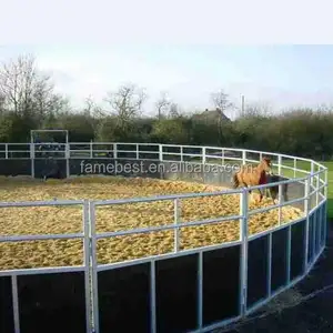 Panel Latihan Pena Bulat Kuda Dalam Galvanis atau Hitam