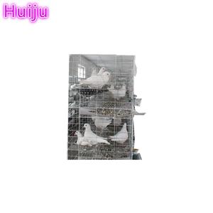 Uganda pollame farm strato di acciaio da corsa piccione gabbia - Product Image 4