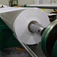 Feuille de polystyrène HIPS PS de qualité alimentaire blanche de 0,5 m, personnalisée en usine, en rouleau pour thermoformage