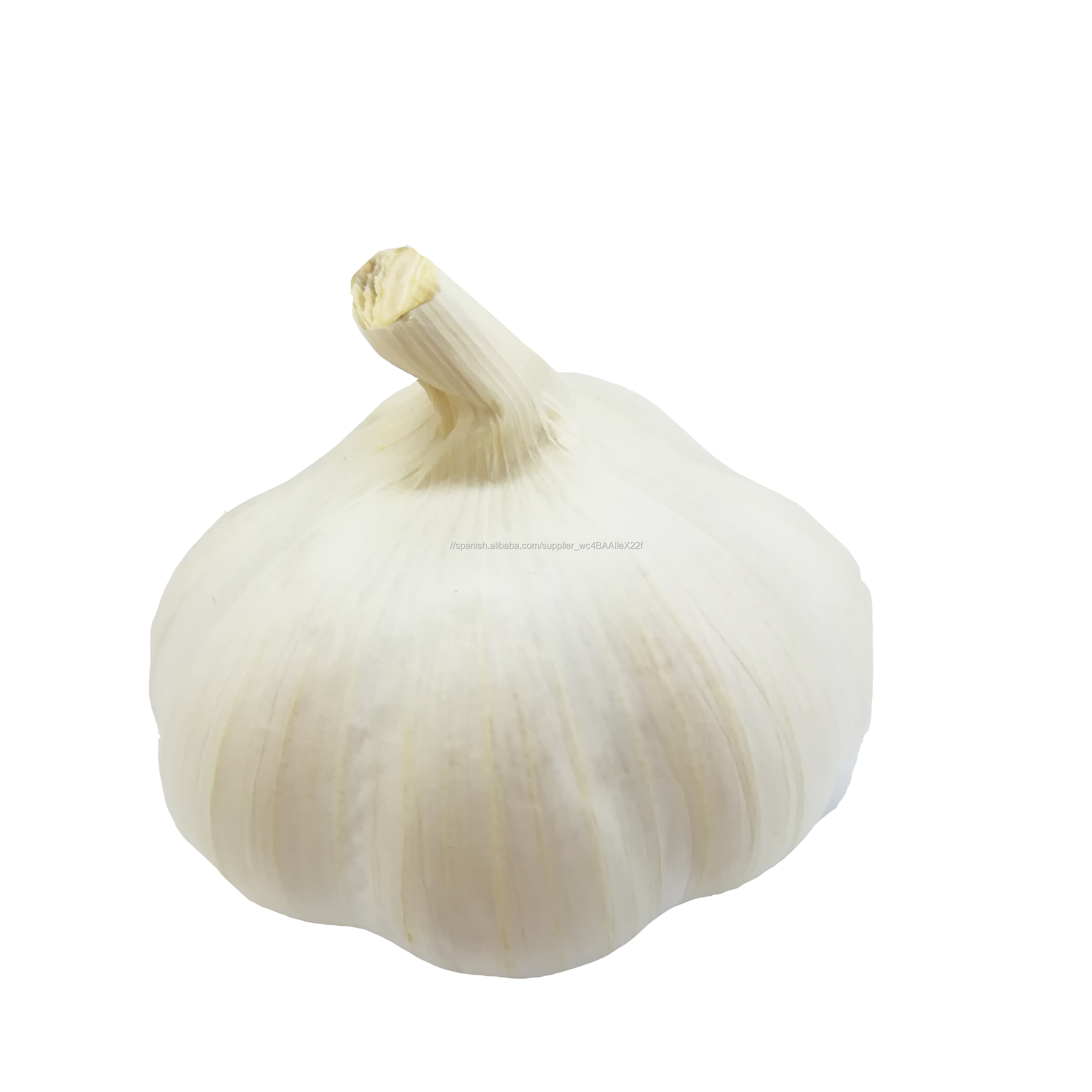 Ajo Natural incluido