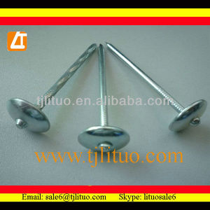 venta caliente <span class=keywords><strong>electro</strong></span> galvanizado para techos del paraguas del clavo - Product Image 1