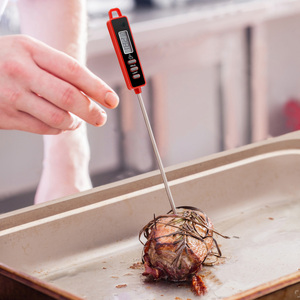 TP01S-1 цифровой термометр для мгновенного считывания мяса с супер длинным зондом - Product Image 2