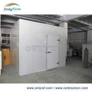 Caminar en Cámara Frigorífica para el Supermercado y Un <span class=keywords><strong>Hotel</strong></span> - Product Image 5