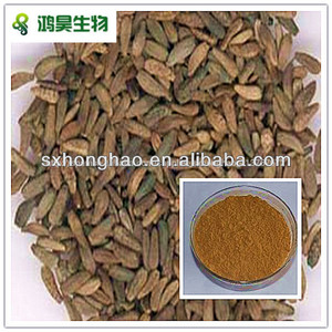 de calidad superior de <span class=keywords><strong>bardana</strong></span> extracto de semilla de china - Product Image 1