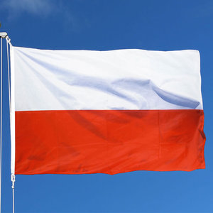 polisheagleflag