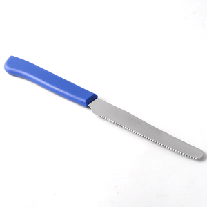 <span class=keywords><strong>Set</strong></span> di 6 <span class=keywords><strong>Coltelli</strong></span> <span class=keywords><strong>da</strong></span> <span class=keywords><strong>Bistecca</strong></span> in Acciaio Inox con Lama Seghettata, Manico Colorato in PP, Confezione Blister, Ecologici e Ambidestri - Product Image 4