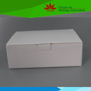 Modelo de órgano de anatomía humana y órganos genitales internos y externos femeninos - Product Image 4